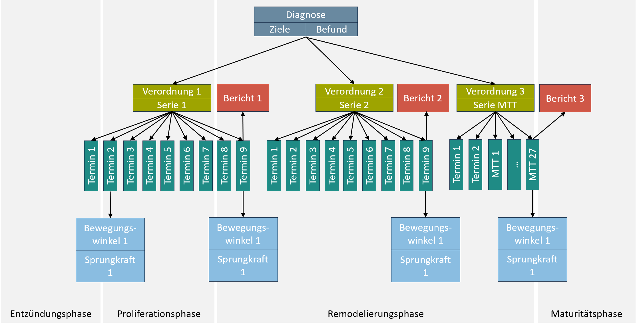Wundheilungsphasen
