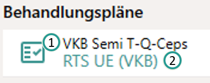 Behandlungsplan-Eintrag