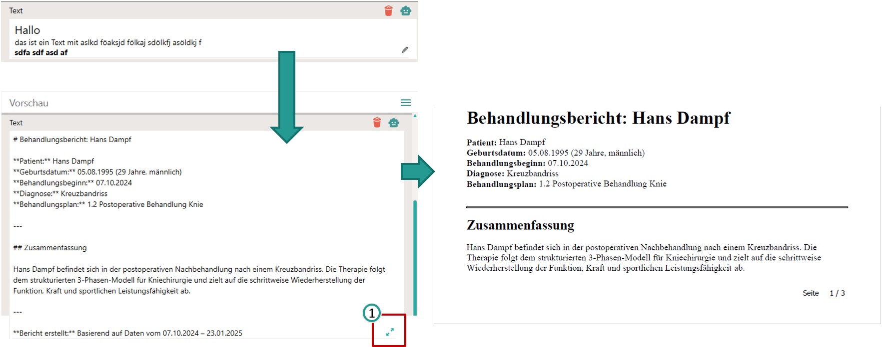 Texte im Behandlungsbericht